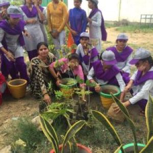 whatsapp image 2025 07 21 at 16.22.41 300x225